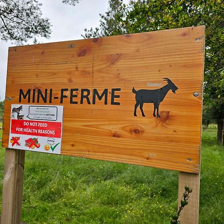 Mobil-Home 6 Personne - Tohapi Coeur De Vendee La Boissiere-de-Montaigu Luaran gambar